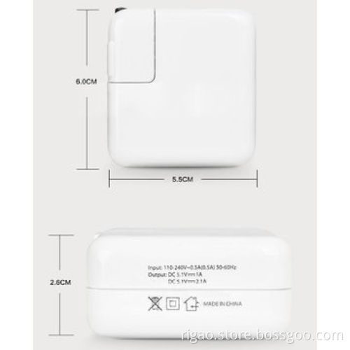 DC 5V, 1A & 2.1A Special Design Cell Phone Charger Adapter